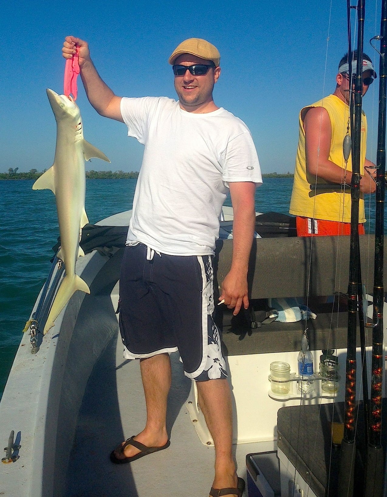 Small Sharks, May 15, Captiva Bayside, Sanibel, Captiva & Fort Myers Fishing Charter & Sanibel, Captiva Fort Myers Fishing Report.